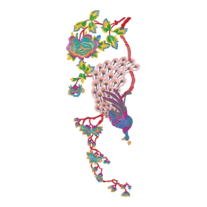 孔雀