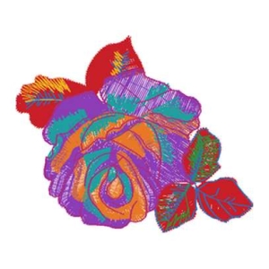 美丽花卉