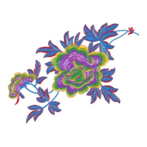美丽花卉