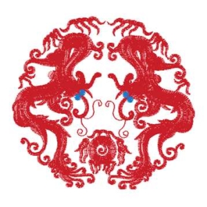 龙
