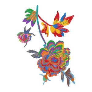 美丽花卉