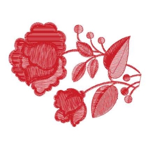 美丽花卉