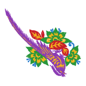 鸟