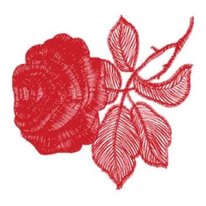 美丽花卉