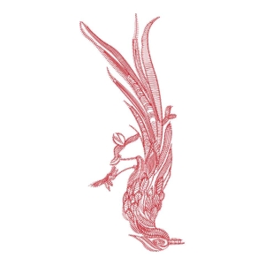 鸟