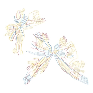 鸟