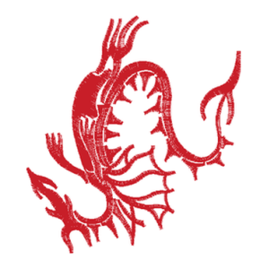 龙