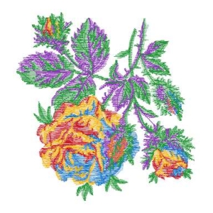 美丽花卉