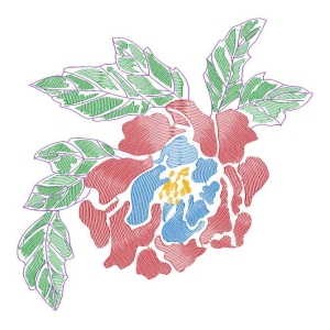 美丽花卉
