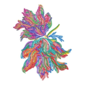 美丽花卉