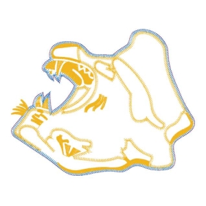 豹