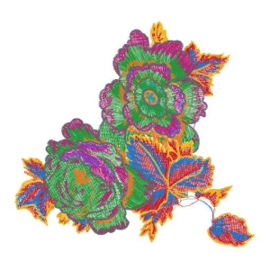 美丽花卉