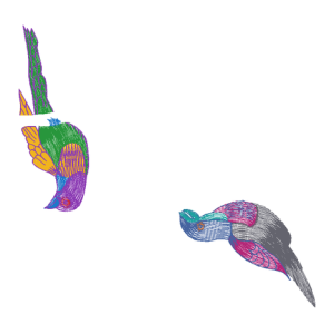 鸟