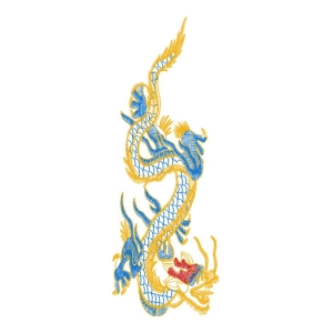 龙