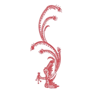 凤凰