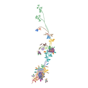 美丽花卉