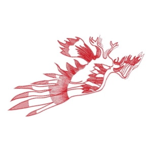 鹰