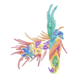 鸟