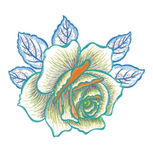 美丽花卉