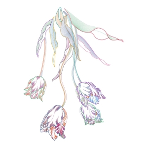 美丽花卉