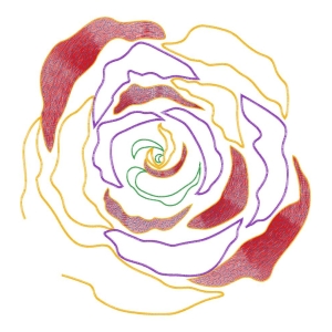 美丽花卉