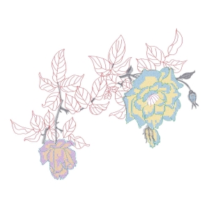 美丽花卉