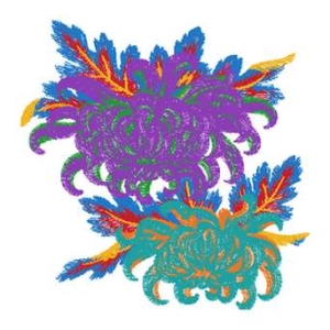美丽花卉
