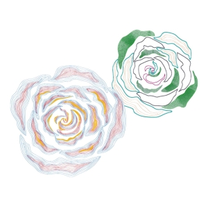 美丽花卉