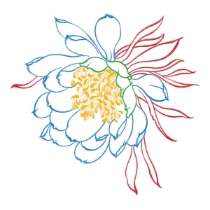 美丽花卉