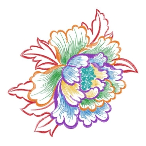 美丽花卉