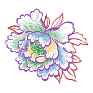 美丽花卉