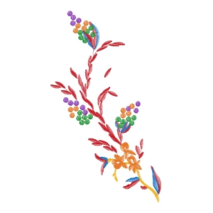 美丽花卉