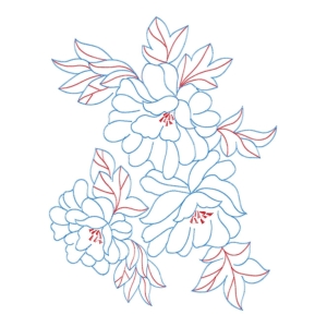 美丽花卉