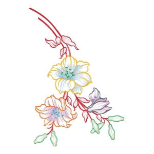 美丽花卉