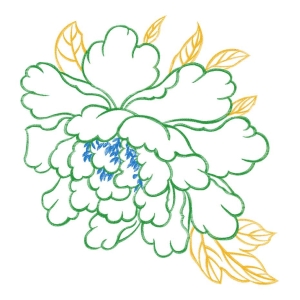 美丽花卉