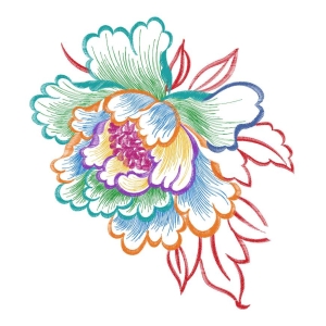美丽花卉