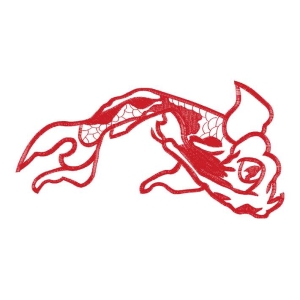 鲤鱼