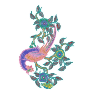 孔雀