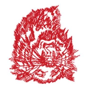 老虎图案