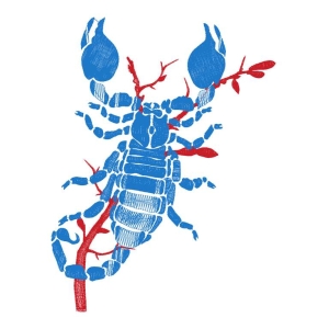 蝎子
