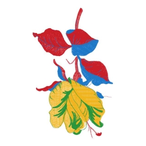 美丽花卉