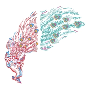 孔雀