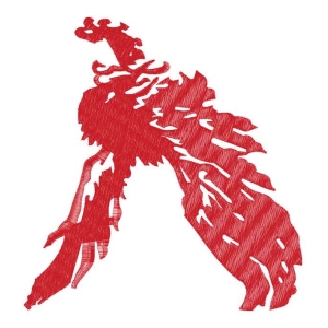 鹰
