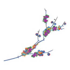 美丽花卉