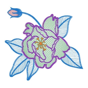 美丽花卉