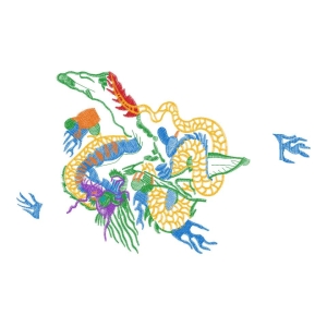 龙