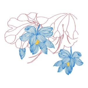 莲花