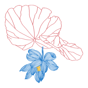 莲花