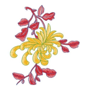 美丽花卉