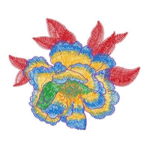 美丽花卉